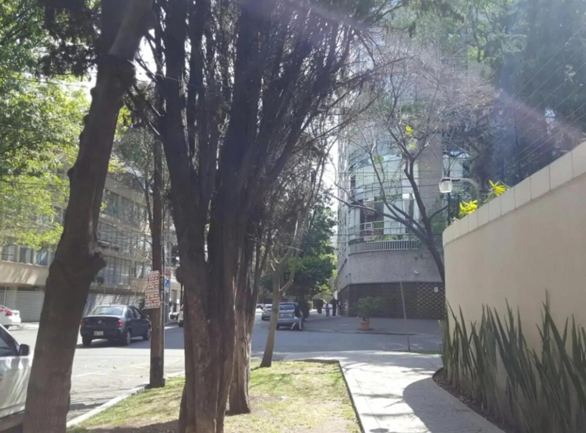Mi Casa #1 At Polanco'S Most Exclusive Area Cidade do México Exterior foto